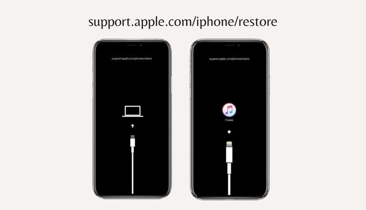 iPhone顯示 "support.apple.com/iphone/restore"